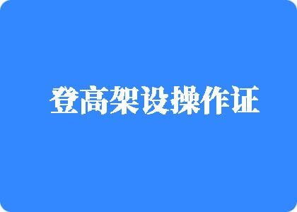 阴茎伸入日本女人视频免费登高架设操作证