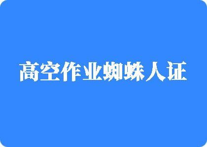 啊你的大鸡吧好大好黑不要插进去要高潮了二次元视频高空作业蜘蛛人证